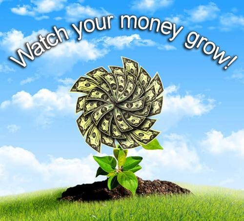 watch your money grow with kasasa